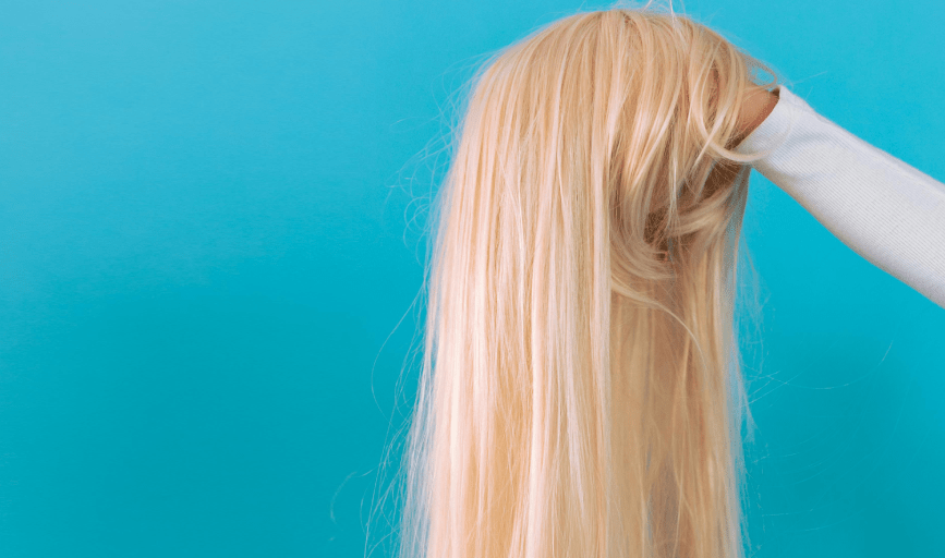 The Wig Turner